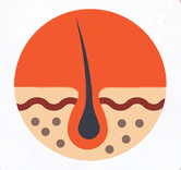 Hair Dermatology Biopharma, Healing Food to Live Healthy Life - by MFarmacy.com