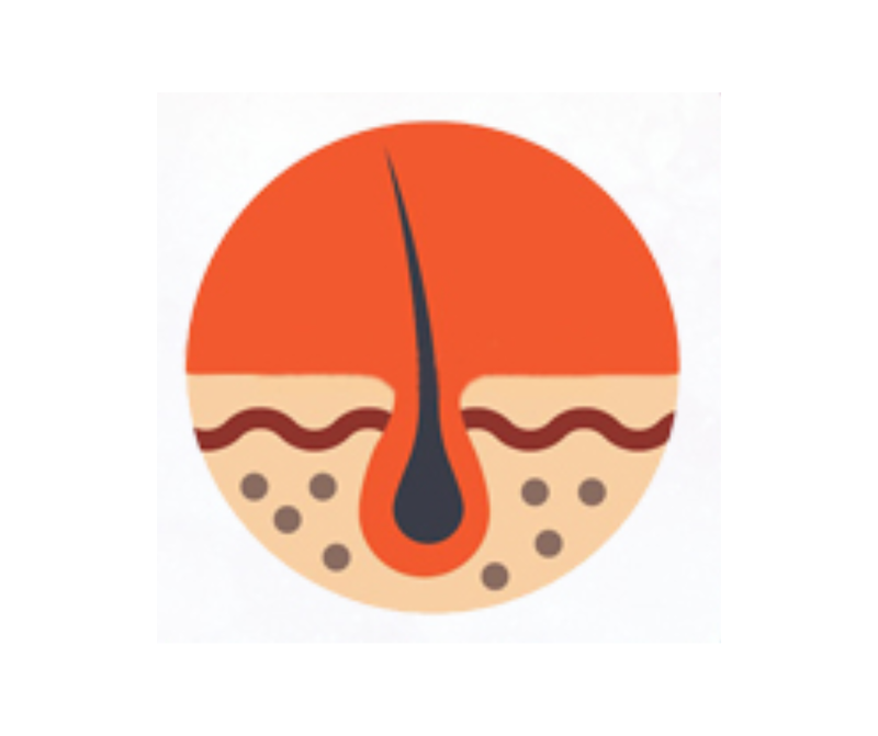 Hair Dermatology