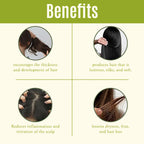 QH+ Henna Gel for Hair Conditioning – 100% Natural | Safe Hair Care  Biopharma, Healing Food to Live Healthy Life - by MFarmacy.com