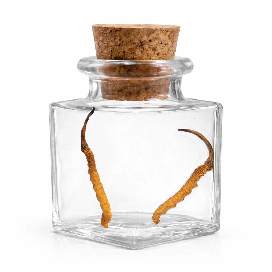 ErecVit KidaJadi – Natural Vitality & Energy Booster