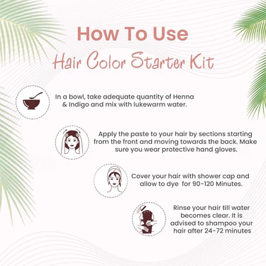 100% Organic Hair Coloring Kit - 100 Gm  Biopharma, Healing Food to Live Healthy Life - by MFarmacy.com