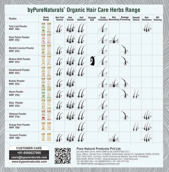 100% Organic Hair Coloring Kit - 100 Gm  Biopharma, Healing Food to Live Healthy Life - by MFarmacy.com