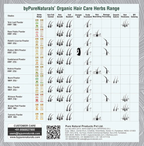 100% Organic Hair Coloring Kit - 100 Gm  Biopharma, Healing Food to Live Healthy Life - by MFarmacy.com