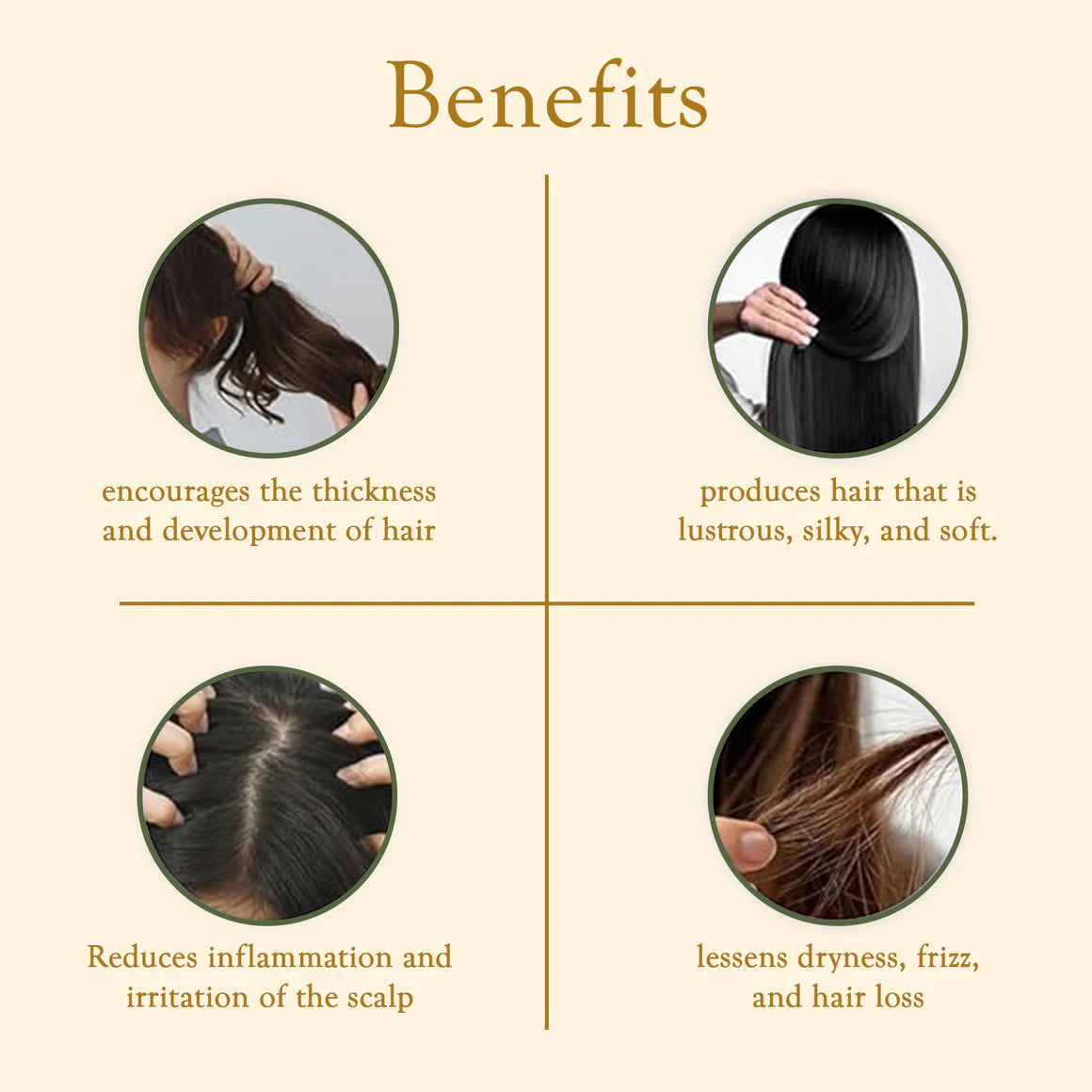 QH+ QuikHenna Quick Henna Water for Hair | Safe Hair Care  Biopharma, Healing Food to Live Healthy Life - by MFarmacy.com