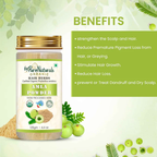 100% Organic Amla Powder for Hair Conditioning  Biopharma, Healing Food to Live Healthy Life - by MFarmacy.com