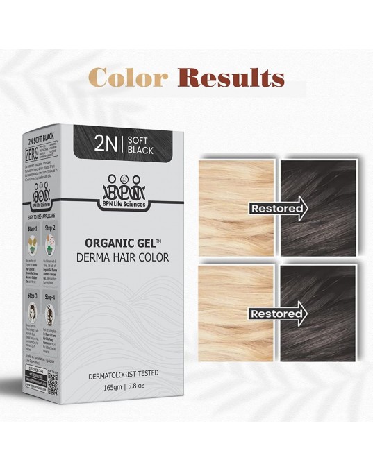 QuikHenna Organic Gel Derma Long Hair Color 2N Soft Black Pack Of 2